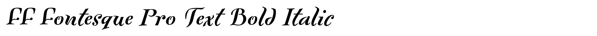 FF Fontesque Pro Text Bold Italic image